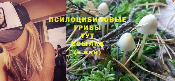 первитин Бородино