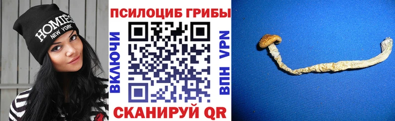 купить наркотик  Тогучин  мега ссылки  Галлюциногенные грибы ЛСД 